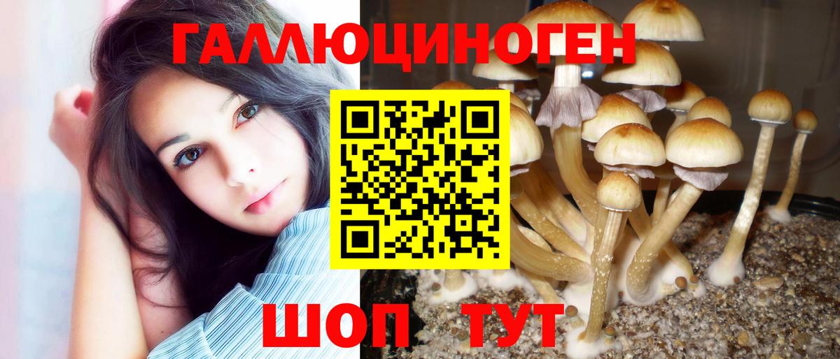 Галлюциногенные грибы мицелий Муром
